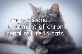 Diagnosis and treatment of chronic renal failure in cats