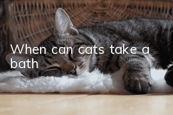 When can cats take a bath?