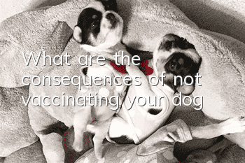 What are the consequences of not vaccinating your dog?
