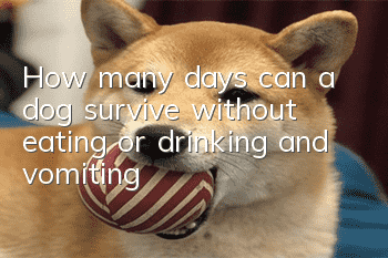 How many days can a dog survive without eating or drinking and vomiting?