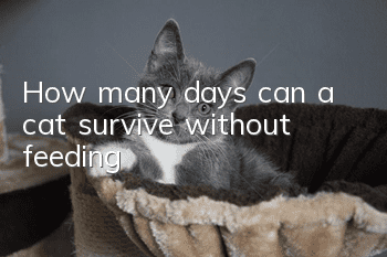 How many days can a cat survive without feeding?