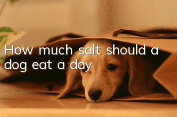 How much salt should a dog eat a day?