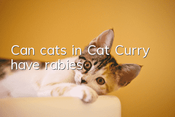 Can cats in Cat Curry have rabies?