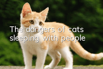 The dangers of cats sleeping with people