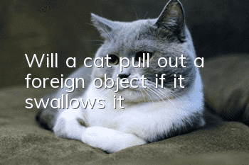 Will a cat pull out a foreign object if it swallows it?