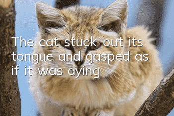 The cat stuck out its tongue and gasped as if it was dying