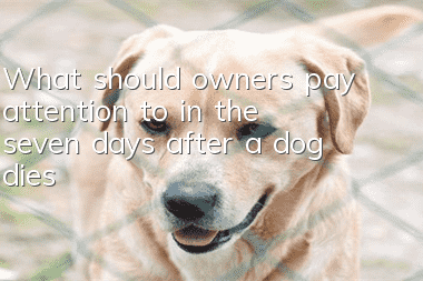 What should owners pay attention to in the seven days after a dog dies?