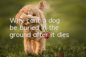 Why can't a dog be buried in the ground after it dies?