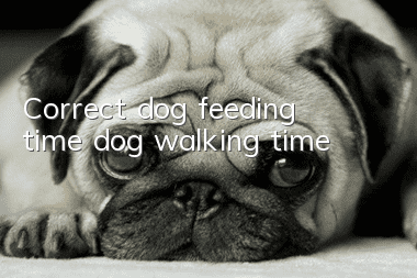 Correct dog feeding time, dog walking time
