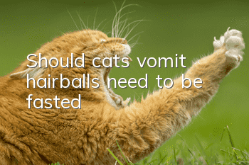 Should cats vomit hairballs need to be fasted?
