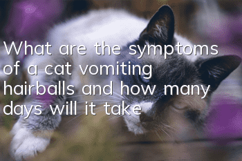 What are the symptoms of a cat vomiting hairballs and how many days will it take?