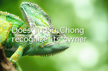 Does Jiudou Chong recognize its owner?