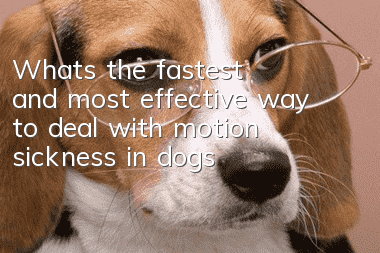 What’s the fastest and most effective way to deal with motion sickness in dogs?