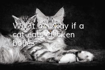 Will it be okay if a cat eats chicken bones?