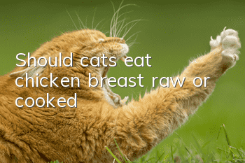 Should cats eat chicken breast raw or cooked?