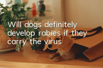 Will dogs definitely develop rabies if they carry the virus?