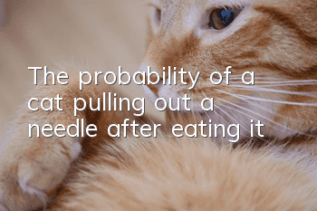 The probability of a cat pulling out a needle after eating it