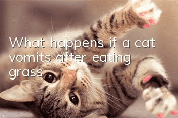 What happens if a cat vomits after eating grass?
