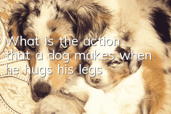 What is the action that a dog makes when he hugs his legs?