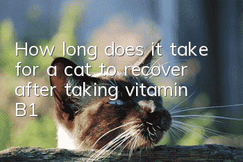 How long does it take for a cat to recover after taking vitamin B1?