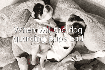 When will the dog guarding pups end?