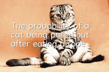 The probability of a cat being pulled out after eating a rope