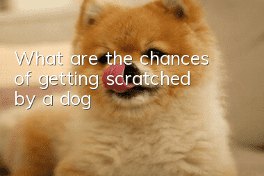 What are the chances of getting scratched by a dog?