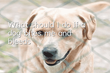 What should I do if a dog bites me and bleeds?