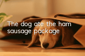 The dog ate the ham sausage package