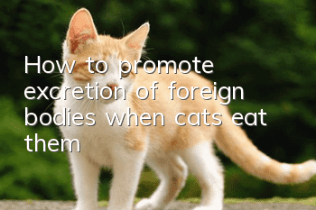 How to promote excretion of foreign bodies when cats eat them