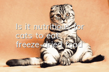 Is it nutritious for cats to eat freeze-dried food?