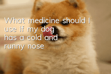 What medicine should I use if my dog has a cold and runny nose?