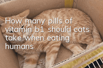How many pills of vitamin b1 should cats take when eating humans?
