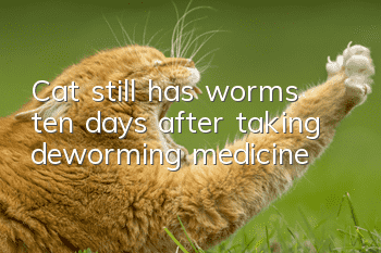 Cat still has worms ten days after taking deworming medicine