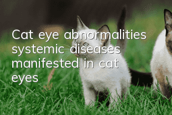Cat eye abnormalities, systemic diseases manifested in cat eyes!