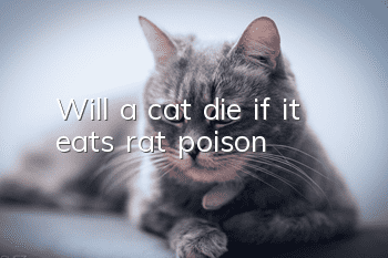 Will a cat die if it eats rat poison?