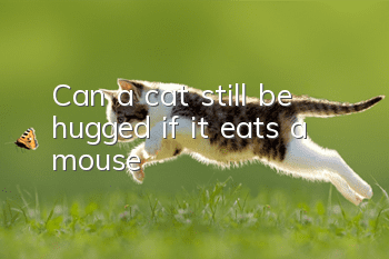 Can a cat still be hugged if it eats a mouse?