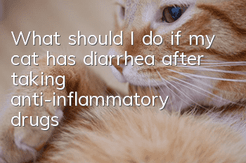 What should I do if my cat has diarrhea after taking anti-inflammatory drugs?