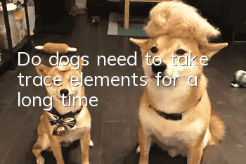 Do dogs need to take trace elements for a long time?
