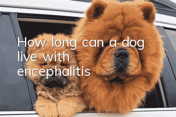 How long can a dog live with encephalitis?