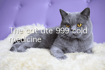The cat ate 999 cold medicine