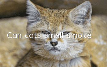 Can cats smell smoke?