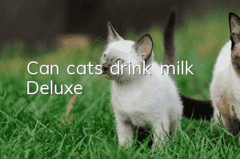 Can cats drink milk Deluxe?