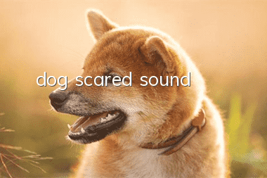 dog scared sound