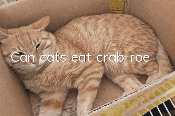 Can cats eat crab roe?