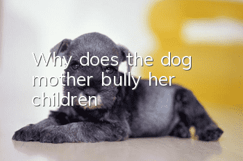 Why does the dog mother bully her children?