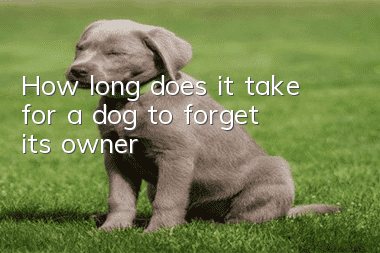 How long does it take for a dog to forget its owner?