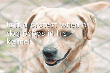 Is it a protest when a dog poops in his kennel?