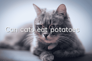 Can cats eat potatoes?