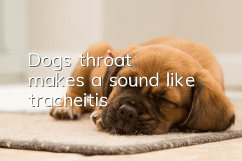 Dog's throat makes a sound like tracheitis